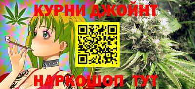 гидропоника Будённовск