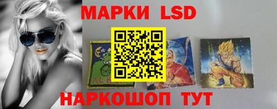 гидропоника Будённовск