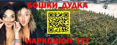 гидропоника Будённовск