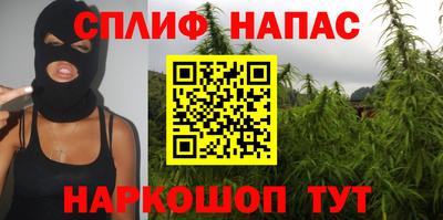 гидропоника Будённовск