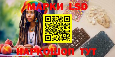 гидропоника Будённовск