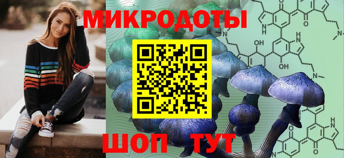 Нововоронеж  Галлюциногенные грибы мицелий  Вход с VPN  наркотики  Галлюциногенные грибы Psilocybe 