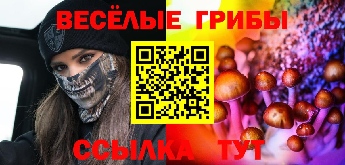 Галлюциногенные грибы Cubensis Нововоронеж